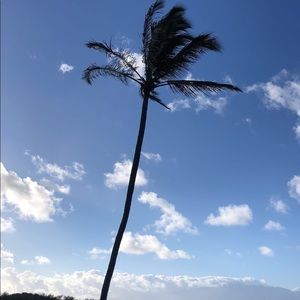 Meet your Posher, Kaumaka